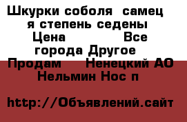 Шкурки соболя (самец) 1-я степень седены › Цена ­ 12 000 - Все города Другое » Продам   . Ненецкий АО,Нельмин Нос п.